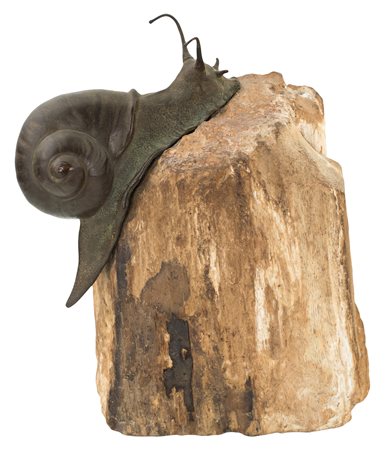 Lumaca in bronzo brunito - realisticamente resa su un ceppo di legno fossile...