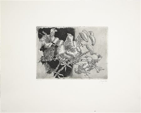 Senza titolo. Acquaforte. Cm 40x49. Dimensioni disegno: 18,5x25 cm. Tiratura:...