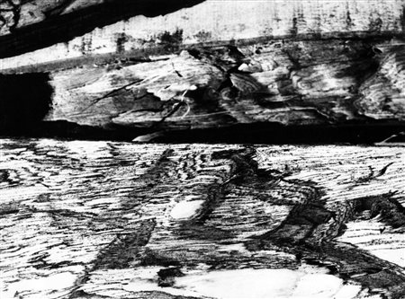 Mario Giacomelli (1925-2000)  - Paesaggio - Motivo suggerito dal taglio dell'albero, 1966/1968