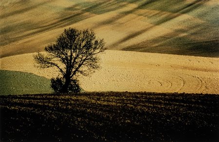Franco Fontana (1933)  - Paesaggio, Basilicata, 1987