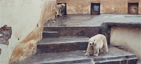 Candida Höfer (1944)  - Zoologischer Garten, St. Petersburg, 1992
