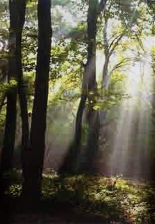 Thomas Ruff (1958)  - Jpegs, 2006