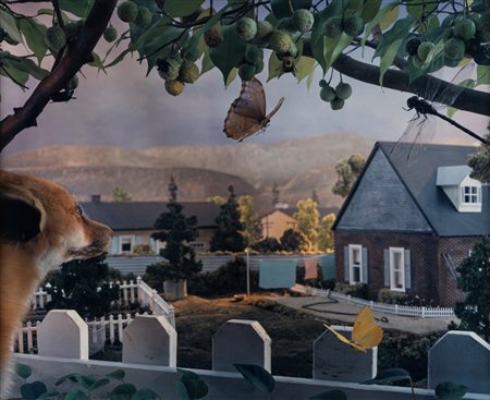 Gregory Crewdson (1962)  - Senza titolo, dalla serie "Natural Wonder", 1991