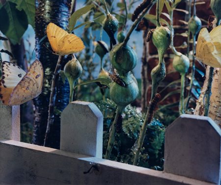 Gregory Crewdson (1962)  - Senza titolo, dalla serie "Natural Wonder", 1990