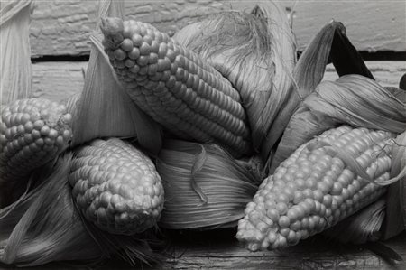 Louis Stettner (1922-2016)  - Corn, Athens, New York taken summer , 1984