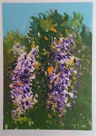 CAZZANIGA GIANCARLO Monza (Mb) 1930 Glicine Incisione acquaforte a colori...