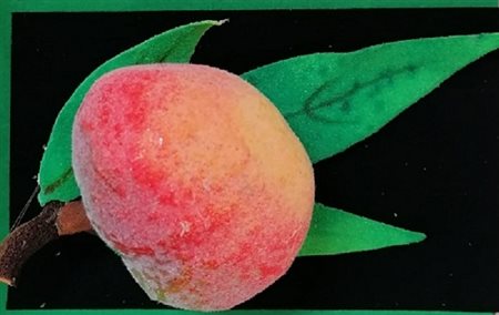 Piero Gilardi “Pesca” 2020