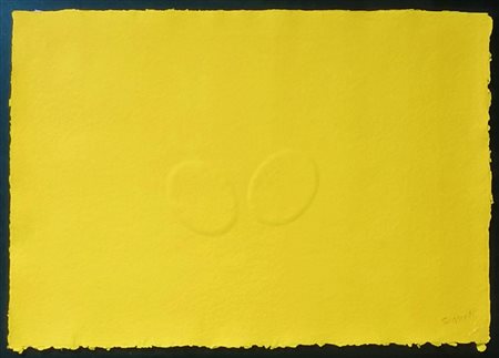 Turi Simeti “Senza titolo” 2008