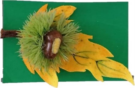 Piero Gilardi “Castagno” 2020