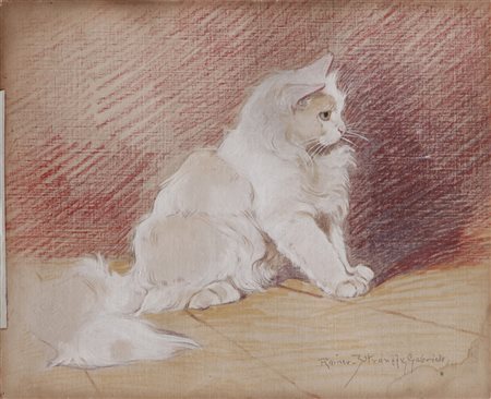 RAINER ISTUANFFY GABRIELLA (1877 - 1864) - Gatto.