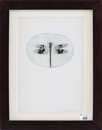 ANDOLCETTI FERNANDO (n. 1930) - Senza titolo.