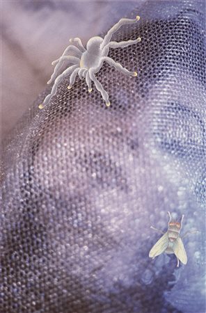 BENUZZI BRUNO (n. 1951) - Ninfa in vincoli.