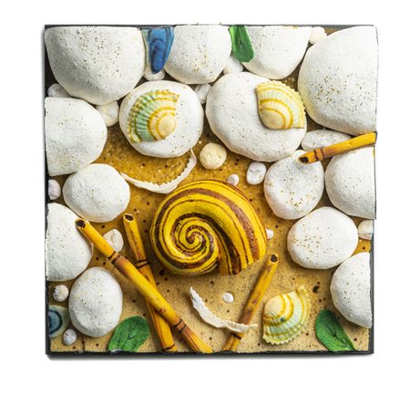 PIERO GILARDI
Polymita sulla spiaggia, 2018