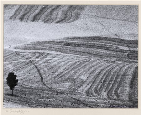 MARIO GIACOMELLI
Paesaggio