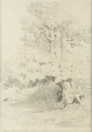 Johann Jakob Frey (Basilea 1813-Frascati 1865)  - Coppia di disegni con Porto d'Anzio e studio d'albero