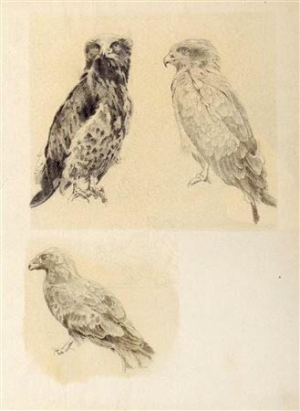 Johann Jakob Frey (Basilea 1813-Frascati 1865)  - Coppia di disegni con falchetti e Madonna col Bambino