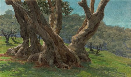 Ettore Ferrari (Roma 1845-1929)  - Ulivi