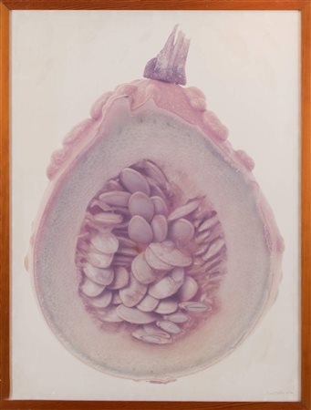 PAOLO MUSSAT SARTOR (Torino 1947) “Zucca” 1974. Fotografia. 94x70. Opera...