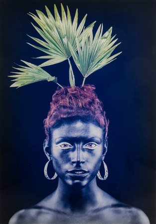 MARCO BOLOGNESI (Bologna 1974) "Albero n. 1", 2005. Fotografia, stampa lamba....