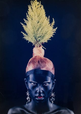 MARCO BOLOGNESI (Bologna 1974) "Albero n.4" Fotografia, stampa labda. cm...