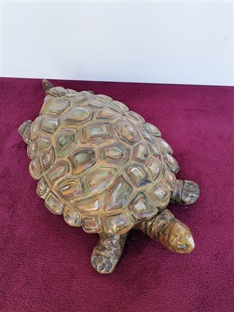 Elvira Sirio Turtle 2006