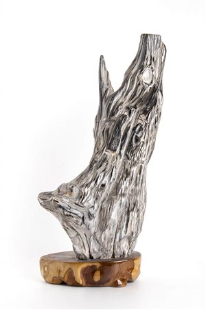 LEGNO FOSSILE
Indonesia, periodo Cenozoico, 60-2 milioni di anni 