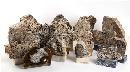 GRANDE GRUPPO DI MINERALI FOSSILIFERI