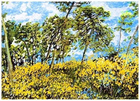 MICHELE CASCELLA Ortona 1892 – Milano 1989 Ginestre a S. Luigi 1984...