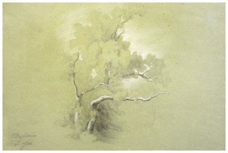 GALLI Migliarino Pastelli su carta 28,5 x 43,5. Titolo e firma in b. a s.