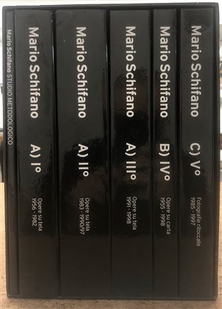 MARIO SCHIFANO - Studio metodologico riguardante la catalogazione informatica dei dati relativi alle opere di Mario Schifano presenti presso la Fondazione M.S. Multistudio
