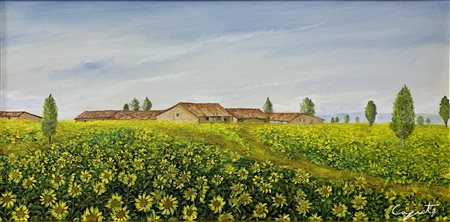 LUIGI CAPUTO, CAMPO DI GIRASOLI