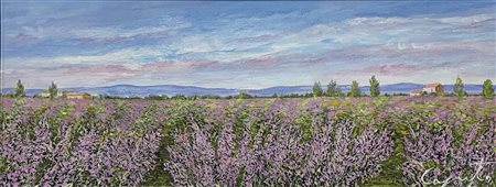 LUIGI CAPUTO, CAMPO DI LAVANDA