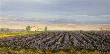 LUIGI CAPUTO, CAMPO LAVANDA