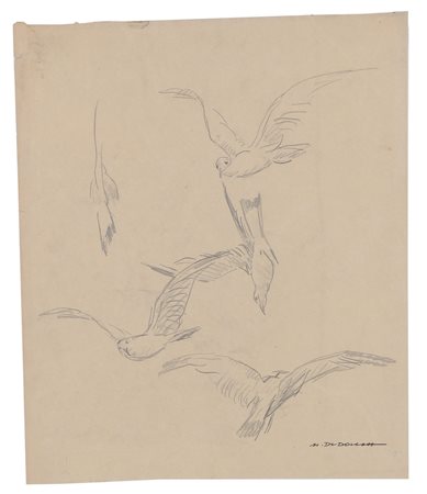 MARCELLO DUDOVICH Trieste 21/03/1878 - Milano 31/03/1962 Studio di uccelli...