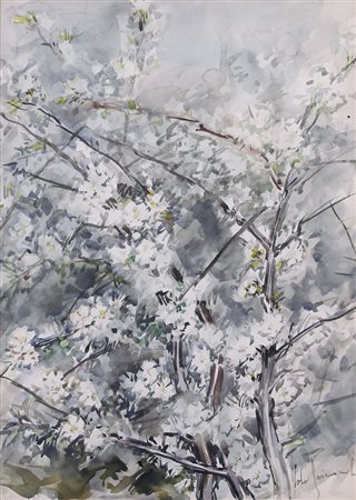 ALDO RAIMONDI Roma 1902 - 22/07/1998 Alberi in fiore acquerello su carta cm....