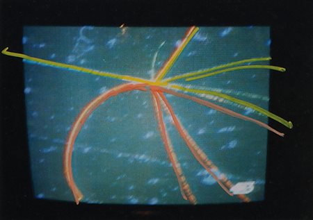 MARIO SCHIFANO Homs (Libia) 1934 - Roma 26/01/1998 Senza titolo, 1990/97...