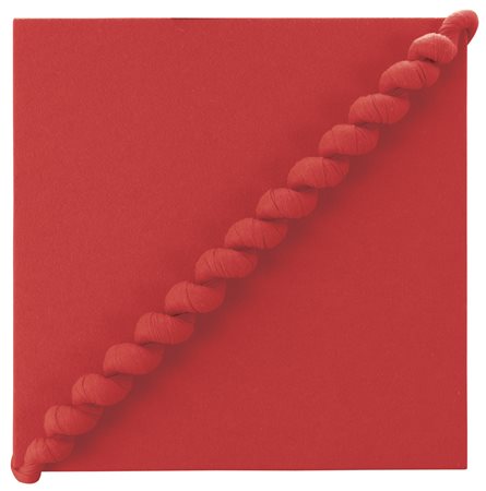 JORGE EIELSON Perù 1924 - Milano 09/03/2006 Amazzonia, 1994 panno su tavola...