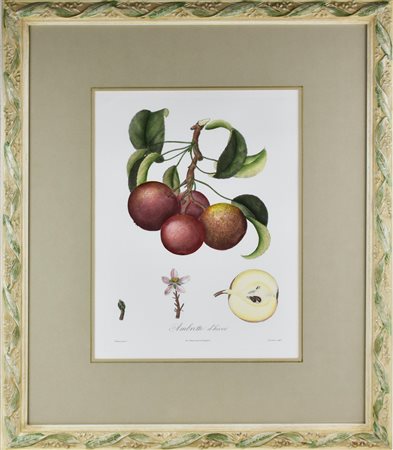 AMBRETTE D'HIVER stampa su carta, cm 67x57