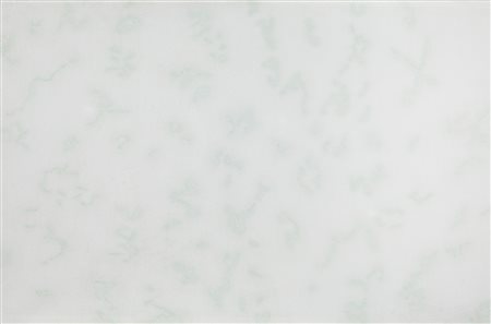 Dadamaino  , Costellazioni