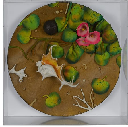 Piero Gilardi , Caraibi