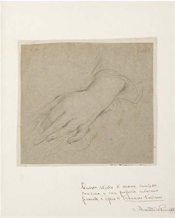 Artista della fine del secolo XVII - inizi XVIII

Studio di mano
Matita nera su