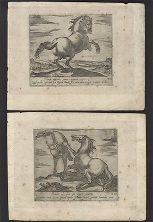 ANTONIO TEMPESTA (copia da)<br>Cavalli 