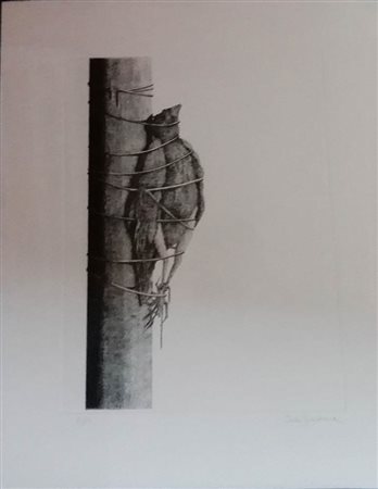 CARLO GIORDANA<br>Senza titolo