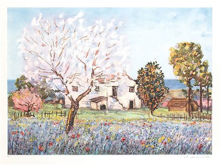 MICHELE CASCELLA <br>Cascinale 