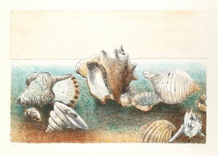 EVA FISCHER <br>Conchiglie 