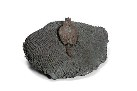 Gaetano Pompa (Forenza 1933-Roma 1998)  - Coleottero