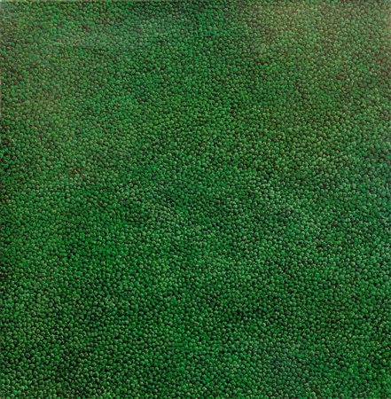 FRANCO PASSALACQUA, Seimilatrecentoquindici alberi, 2002