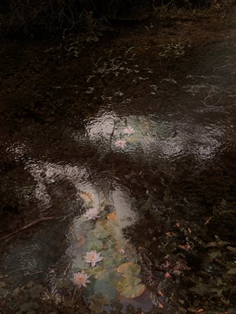 LINDA PEZZANO, When my storms calm down, leaving me peace in my eyes, Abruzzo, Italy, 2020