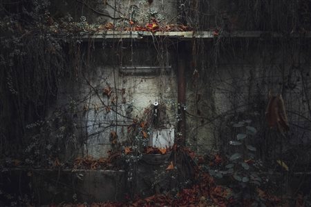 FILIPPO ZOCCOLI, Garden, 2020