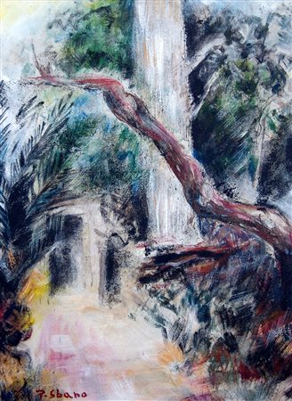 PIERO SBANO, Il mio giardino